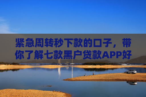 紧急周转秒下款的口子，带你了解七款黑户贷款APP好下款