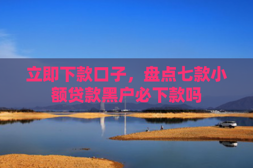 立即下款口子，盘点七款小额贷款黑户必下款吗