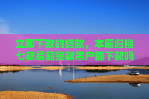 立即下款的贷款，本篇归档七款易薪贷款黑户能下款吗