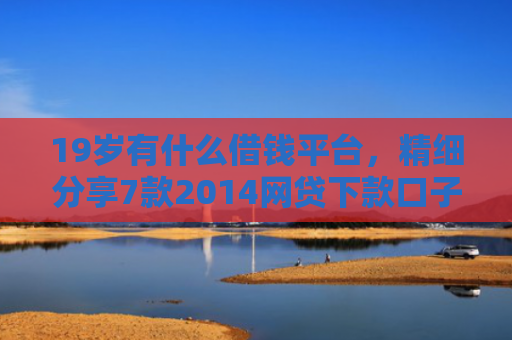 19岁有什么借钱平台，精细分享7款2014网贷下款口子