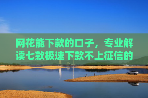 网花能下款的口子，专业解读七款极速下款不上征信的app有什么