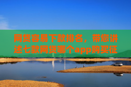 网货容易下款排名，带您讲述七款网贷哪个app购买征信下款的6