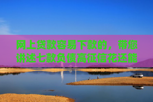 网上贷款容易下款的，带您讲述七款负债高征信花还能下款的app2025