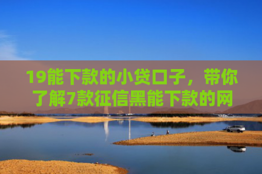 19能下款的小贷口子，带你了解7款征信黑能下款的网贷口子