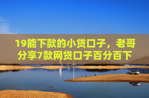19能下款的小贷口子，老哥分享7款网贷口子百分百下款