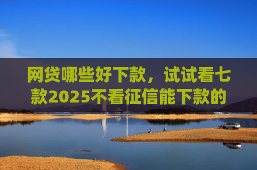 网贷哪些好下款，试试看七款2025不看征信能下款的app