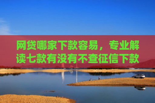 网贷哪家下款容易，专业解读七款有没有不查征信下款的app