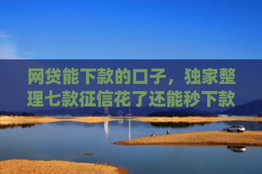 网贷能下款的口子，独家整理七款征信花了还能秒下款的app