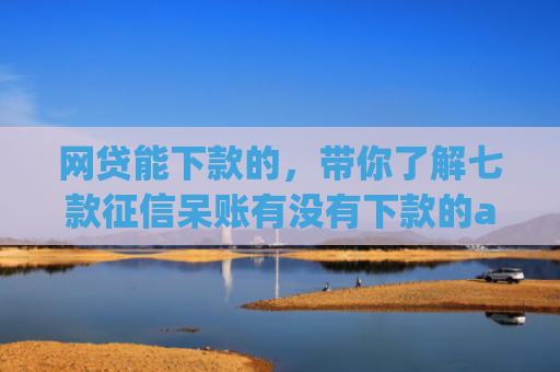 网贷能下款的，带你了解七款征信呆账有没有下款的app