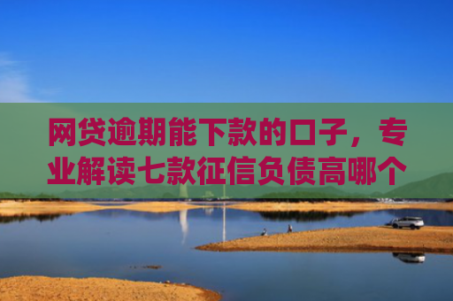 网贷逾期能下款的口子，专业解读七款征信负债高哪个平台好下款app