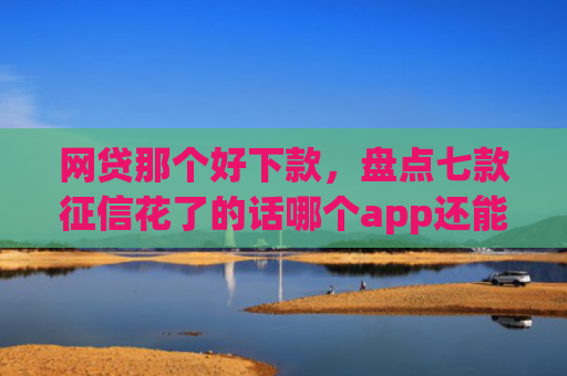 网贷那个好下款，盘点七款征信花了的话哪个app还能下款