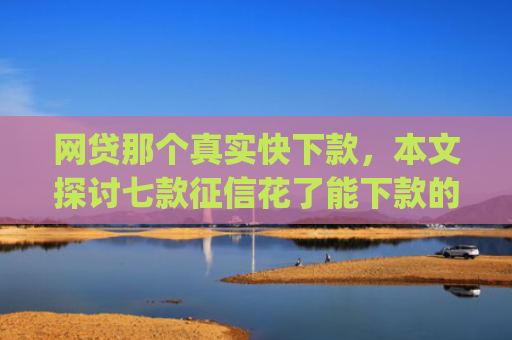 网贷那个真实快下款，本文探讨七款征信花了能下款的贷款app