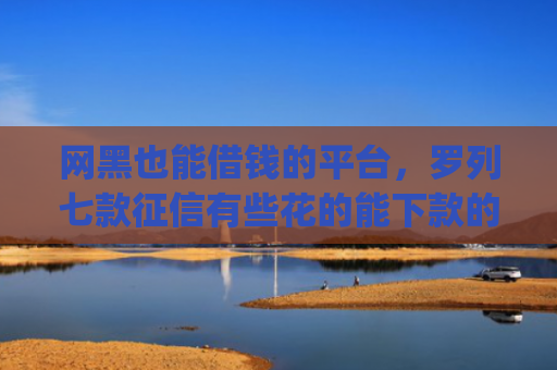 网黑也能借钱的平台，罗列七款征信有些花的能下款的小额app