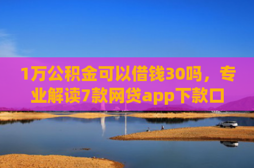 1万公积金可以借钱30吗，专业解读7款网贷app下款口子