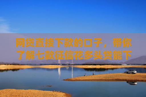 网贷直接下款的口子，带你了解七款征信花多头贷能下款的app