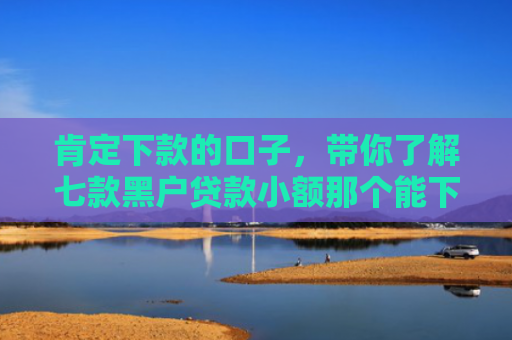 肯定下款的口子，带你了解七款黑户贷款小额那个能下款