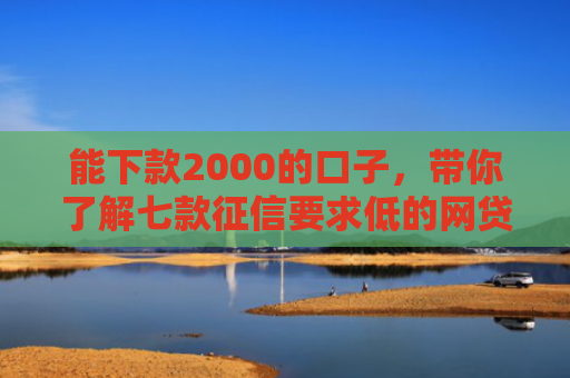 能下款2000的口子，带你了解七款征信要求低的网贷能下款吗