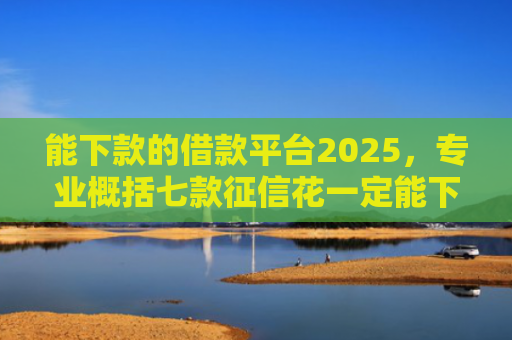能下款的借款平台2025，专业概括七款征信花一定能下款的网贷