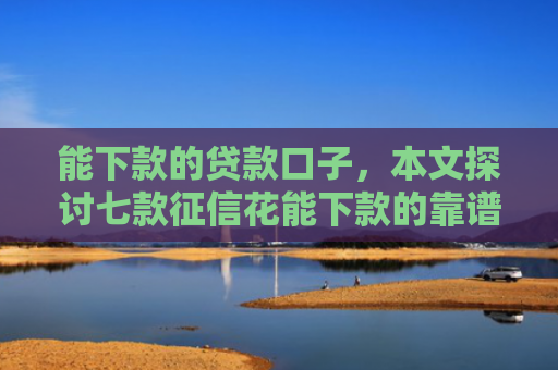 能下款的贷款口子，本文探讨七款征信花能下款的靠谱网贷