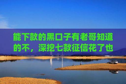 能下款的黑口子有老哥知道的不，深挖七款征信花了也能下款的网贷app
