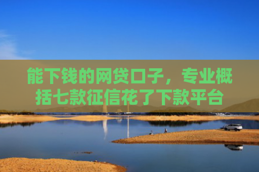 能下钱的网贷口子，专业概括七款征信花了下款平台