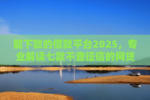 能下款的借款平台2025，专业解读七款不查征信的网贷APP能下款的