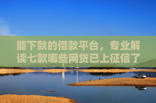 能下款的借款平台，专业解读七款哪些网贷已上征信了还能下款