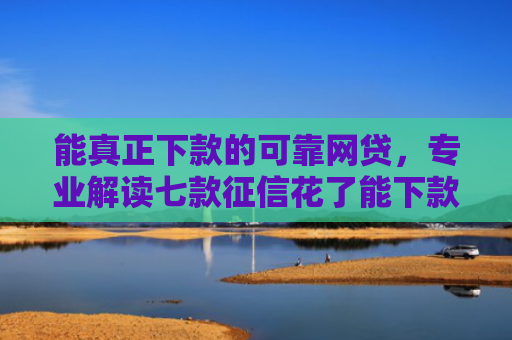 能真正下款的可靠网贷，专业解读七款征信花了能下款平台