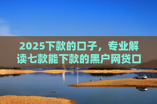 2025下款的口子，专业解读七款能下款的黑户网贷口子