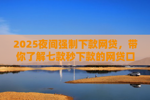 2025夜间强制下款网贷，带你了解七款秒下款的网贷口子大全