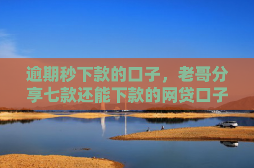 逾期秒下款的口子，老哥分享七款还能下款的网贷口子多么