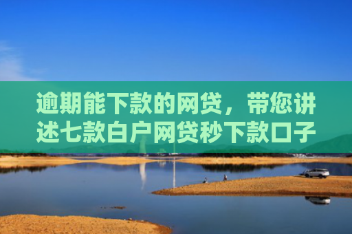 逾期能下款的网贷，带您讲述七款白户网贷秒下款口子