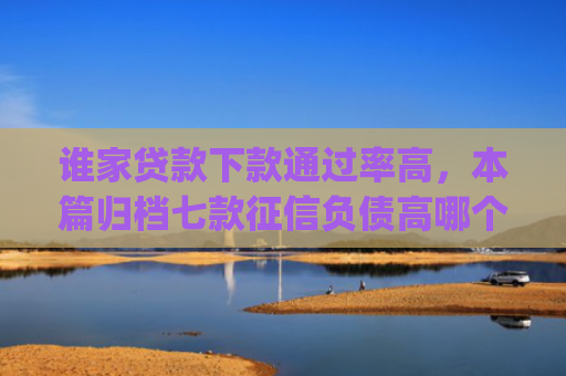 谁家贷款下款通过率高，本篇归档七款征信负债高哪个平台好下款app