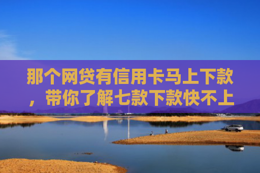 那个网贷有信用卡马上下款，带你了解七款下款快不上征信网贷平台