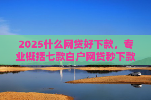 2025什么网贷好下款，专业概括七款白户网贷秒下款口子