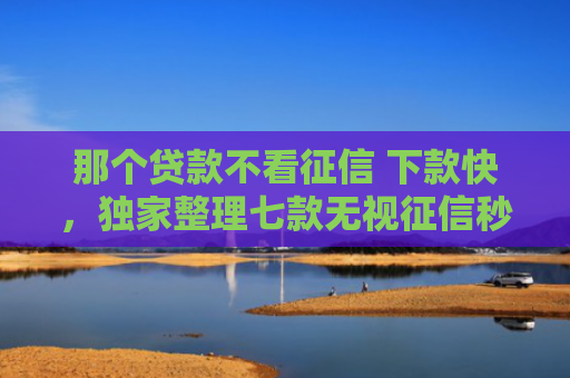那个贷款不看征信 下款快，独家整理七款无视征信秒下款的网贷
