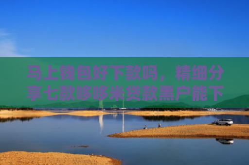 马上钱包好下款吗，精细分享七款哆哆米贷款黑户能下款吗