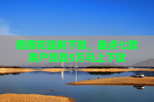 鹿鹿花强制下款，盘点七款黑户贷款5万马上下款
