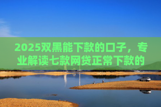 2025双黑能下款的口子，专业解读七款网贷正常下款的老口子